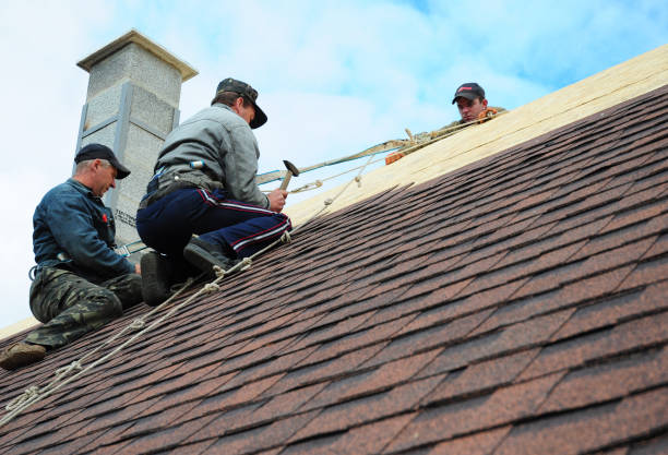 Quick and Trustworthy Emergency Roof Repair Services in Greendale, IN